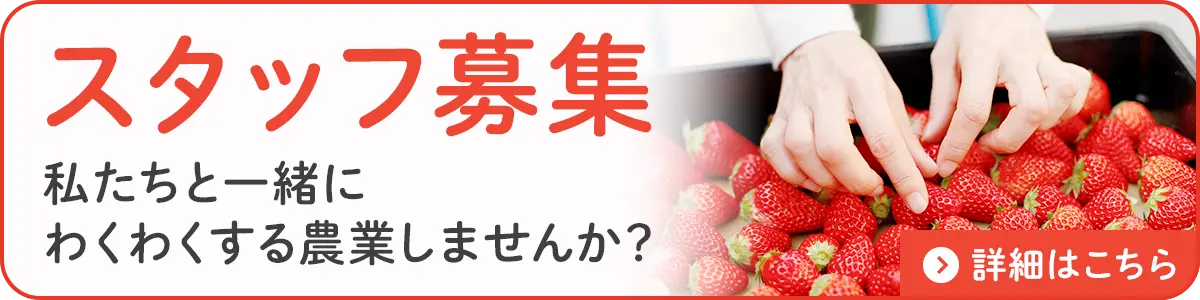 スタッフ募集 私たちと一緒にわくわくする農業しませんか?