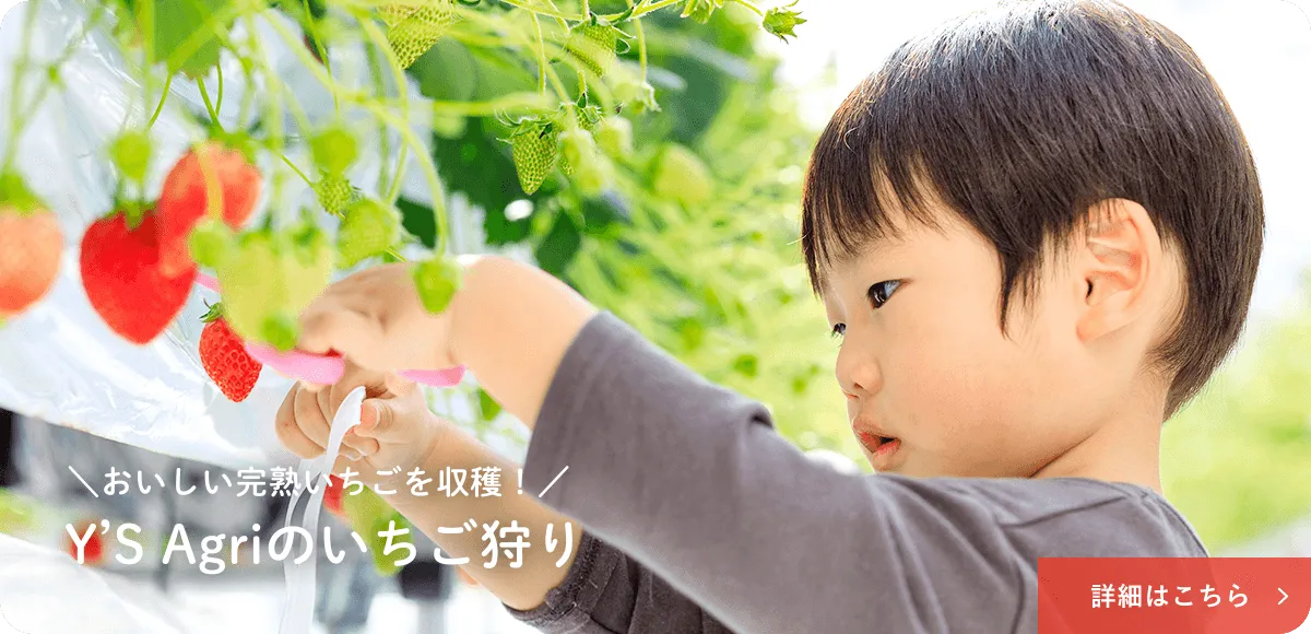 キービジュアルイメージ01