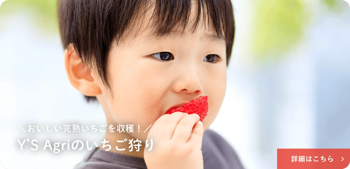 キービジュアルイメージ02