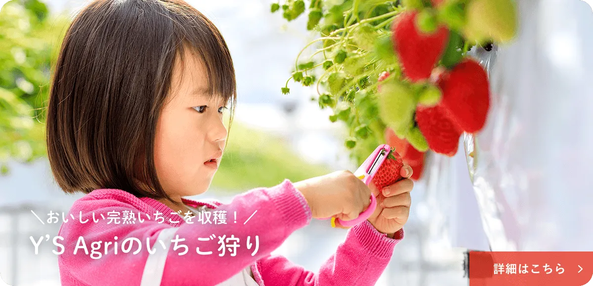 キービジュアルイメージ03